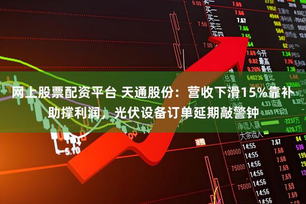 网上股票配资平台 天通股份：营收下滑15%靠补助撑利润，光伏设备订单延期敲警钟